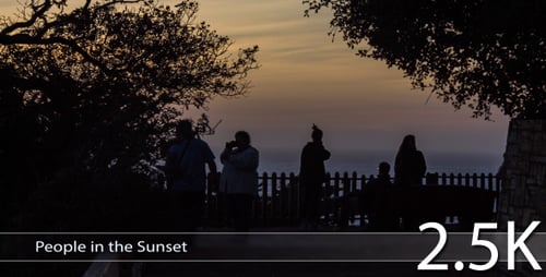 People in the Sunset