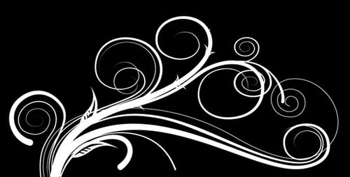 Black And White Floral Element