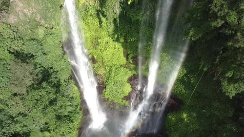 Big Jungle Waterfall