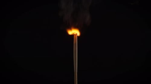 Isolated Flame Burning on a Match on a Black Background