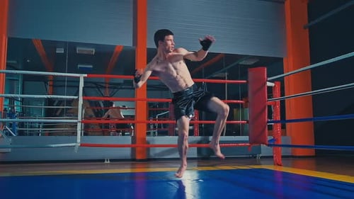 Young Adult Practicing Martial Arts Kicks in Gym