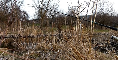 Fishing Pole Setup in Rural Setting by Water
