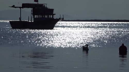 Fischerboot und Möwen In Calm Sea 2