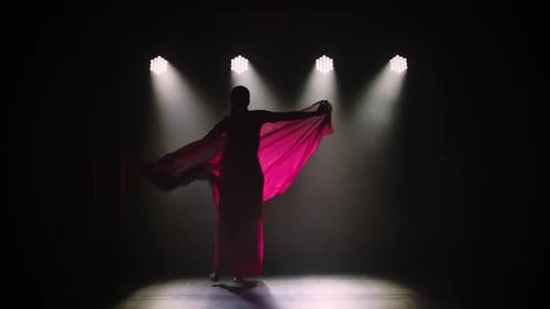 Silhouette une jeune danseuse dans un sari rouge. Danse folklorique indienne. Tourné dans un studio sombre avec de la fumée