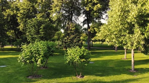 View From Drone Moving Through Green Park Garden
