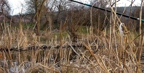 Fishing Rod Ready Near Quiet Pond