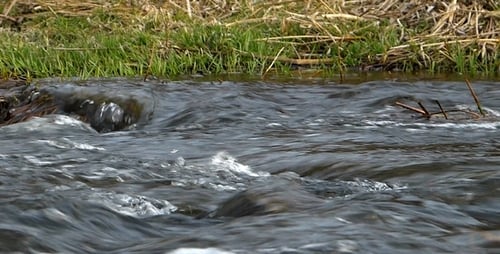 Fluss Shot 2