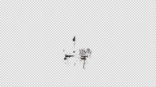 Rifle Transform