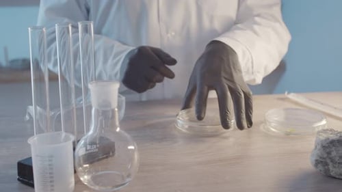 A Researcher in Protective Rubber Gloves and a Gown Examines a Part of a Plant in a Petri Dish