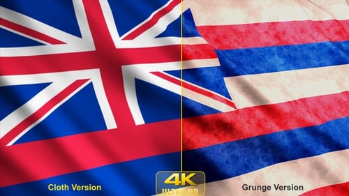 Waving Hawaii State Flag Seamless Loop Animation