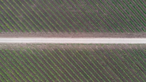 Birds Eye View of Rural Agriculture Field