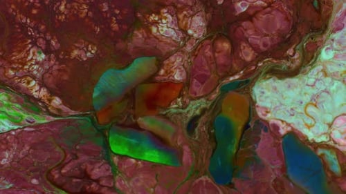 Abstract Colorful Paint Swirling and Merging Close Up