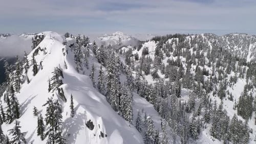 Epic Winter Wonderland Aerial Of Fresh Powder Snow On Trees Of Mountain Forest In Pacific Northwest