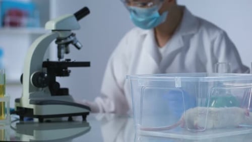 Lab Researcher Working with a Lab Mouse