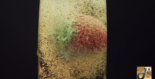 Strawberry submerged in Sparkling Champagne in Glass