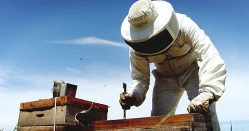 Beekeeper harvesting honey