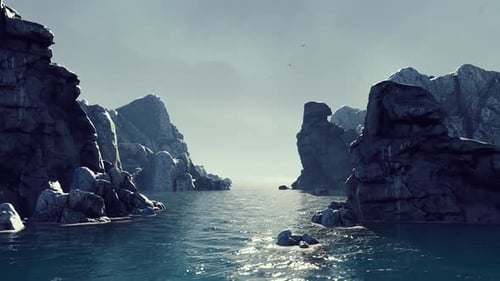 Flying Among The Rocky Reefs