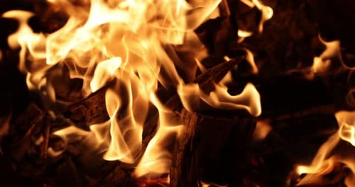 Bonfire Fire Real Flames Ignited On A Black Background