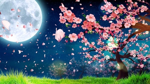 Animated Cherry Blossom Tree with Falling Petals and Full Moon at Night