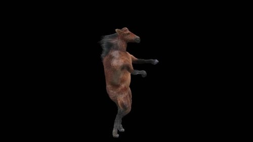 Animated Dancing Horse with Alpha Channel