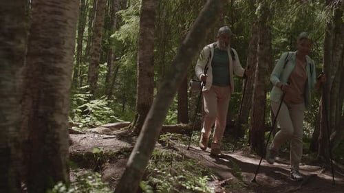 Mature Couple Hiking Through Dense Forest with Poles