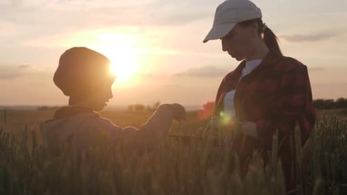 Family Farmers Work in the Field Look at the Digital Tablet