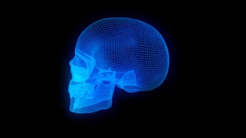 Totenkopfdraht HD