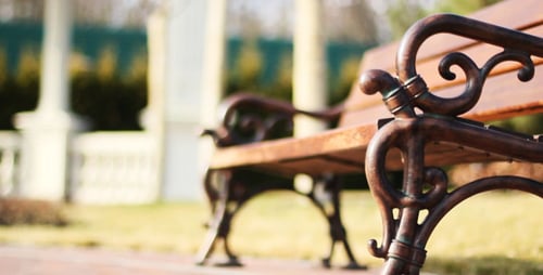 Empty Bench in a Sunny Urban Park