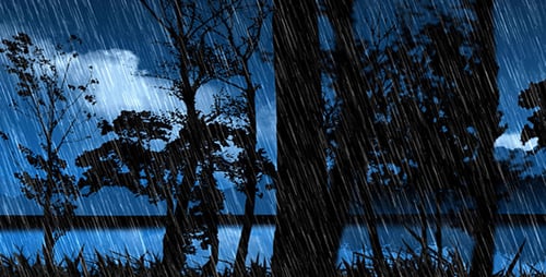Forêt nocturne 3