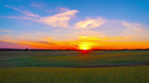 Sonnenuntergang über dem Weizenfeld