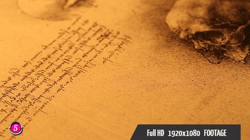 Close Up of Anatomical Drawing of Human Skull