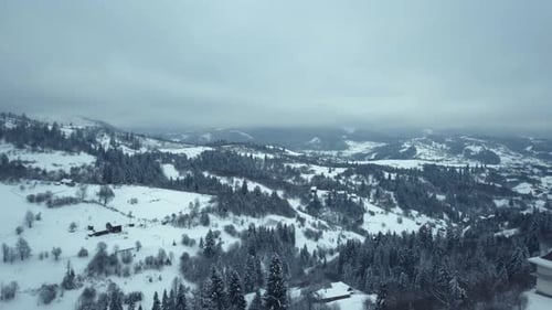 Luftaufnahme Winterdorf. Verschneiter Ast im Blick auf den Winterwald