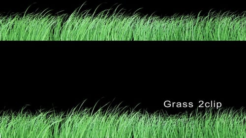 Grass 2 Clip