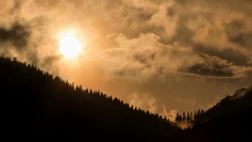Mystischer Sonnenuntergang über dem dunklen Wald