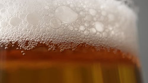 Fresh Cold Beer 72