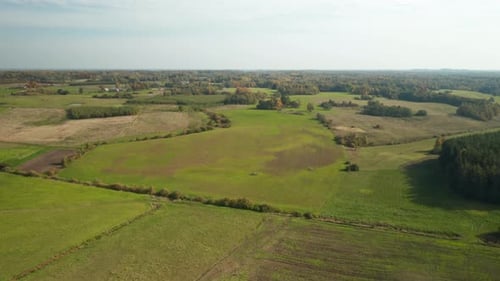 VUE AÉRIENNE : Horizon avec ciel et forêt en arrière-plan par une journée d'automne ensoleillée