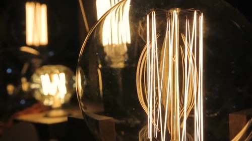 Dekorative Edison-Glühbirnen in verschiedenen Formen und Größen, Vintage Exhibition