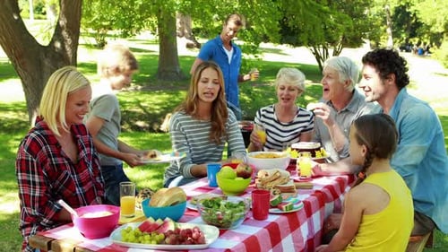 Family having picnic in the park