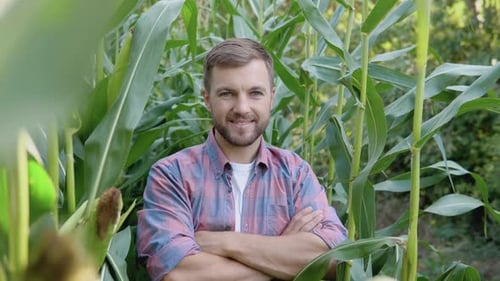 A Young Happy Farmer Stands in the Middle of a Corn Field and Smiles at the Camera