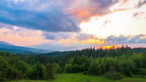 The Mountain Forest on Background of Sunset