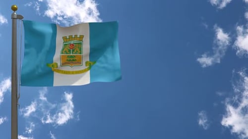 Realistic Waving Flag Animation with Coat of Arms