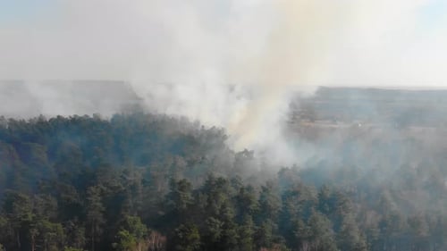 View From the Top of the Forest That Is Burning. A Fire That Burns in a Dry Forest on a Sunny Day