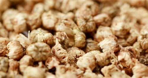 Macro View of Dried Chrysanthemum Flowers for Tea