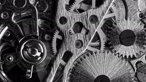 Black and White Vintage Close View of Watch Mechanism