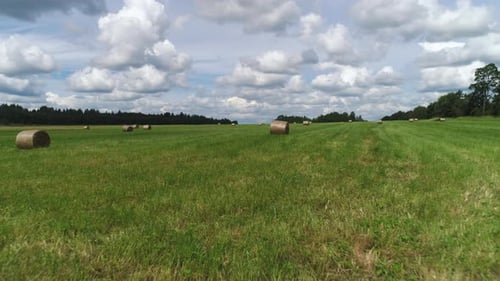 Hay Bales in Rural Field under Cloudy Sky