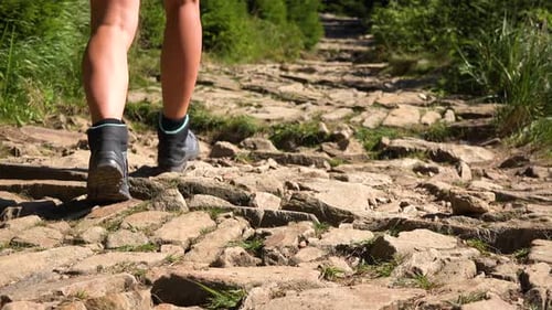 A Woman Walks Down a Trail in a Forest on a Sunny Day - View From the Ground