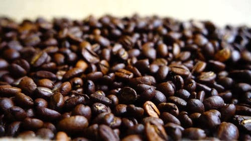 Coffee Beans Falling on the Sack 4