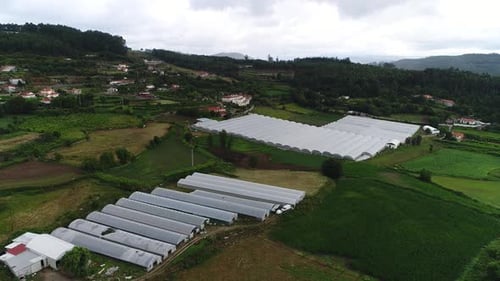 Aerial View of Lush Greenhouses in Countryside