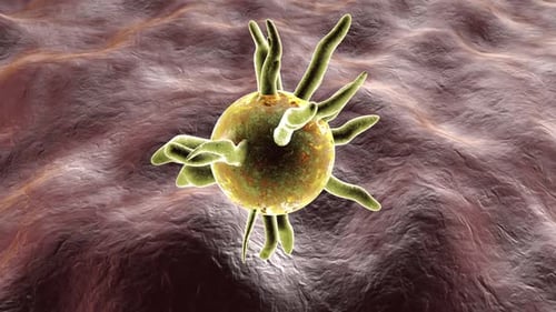 Animated Microorganism on Tissue Background