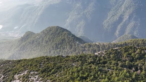 Forest texture aerial view 4 K Turkey Alanya